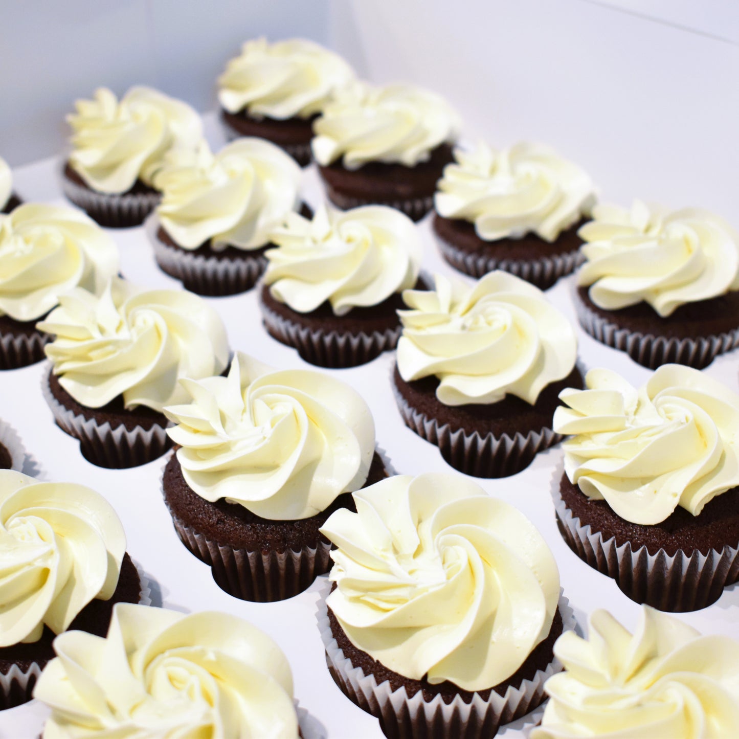Buttercream Swirls - Solid Colour