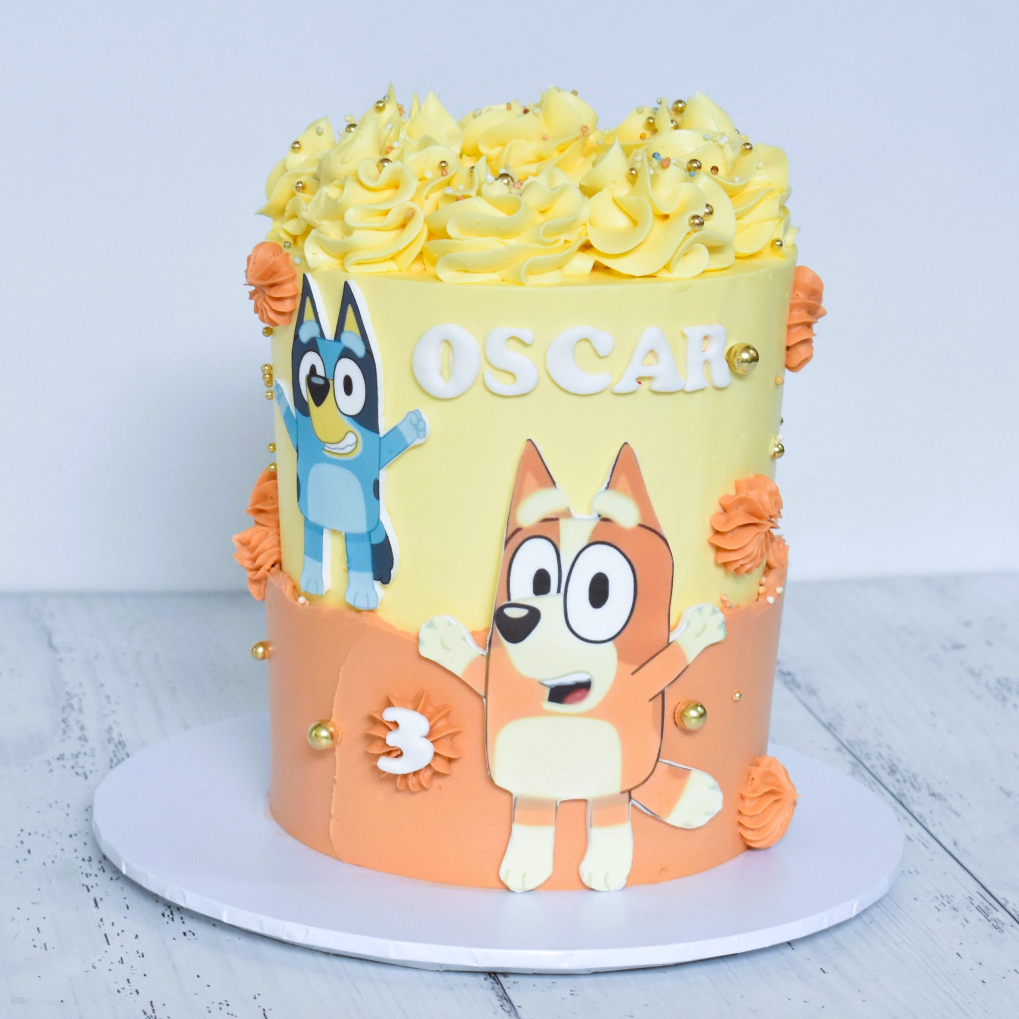Bluey Cake