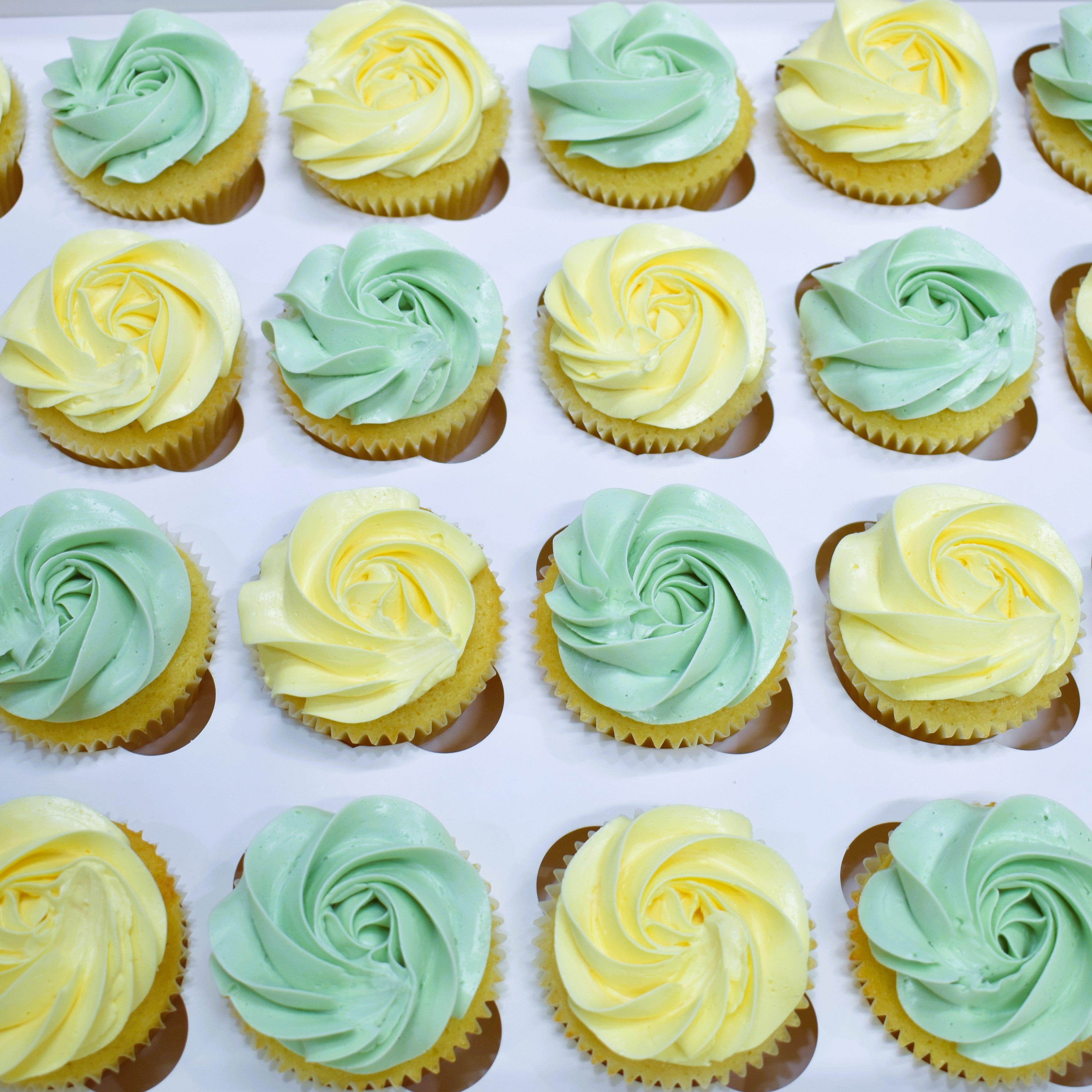 Buttercream Swirls - Solid Colour