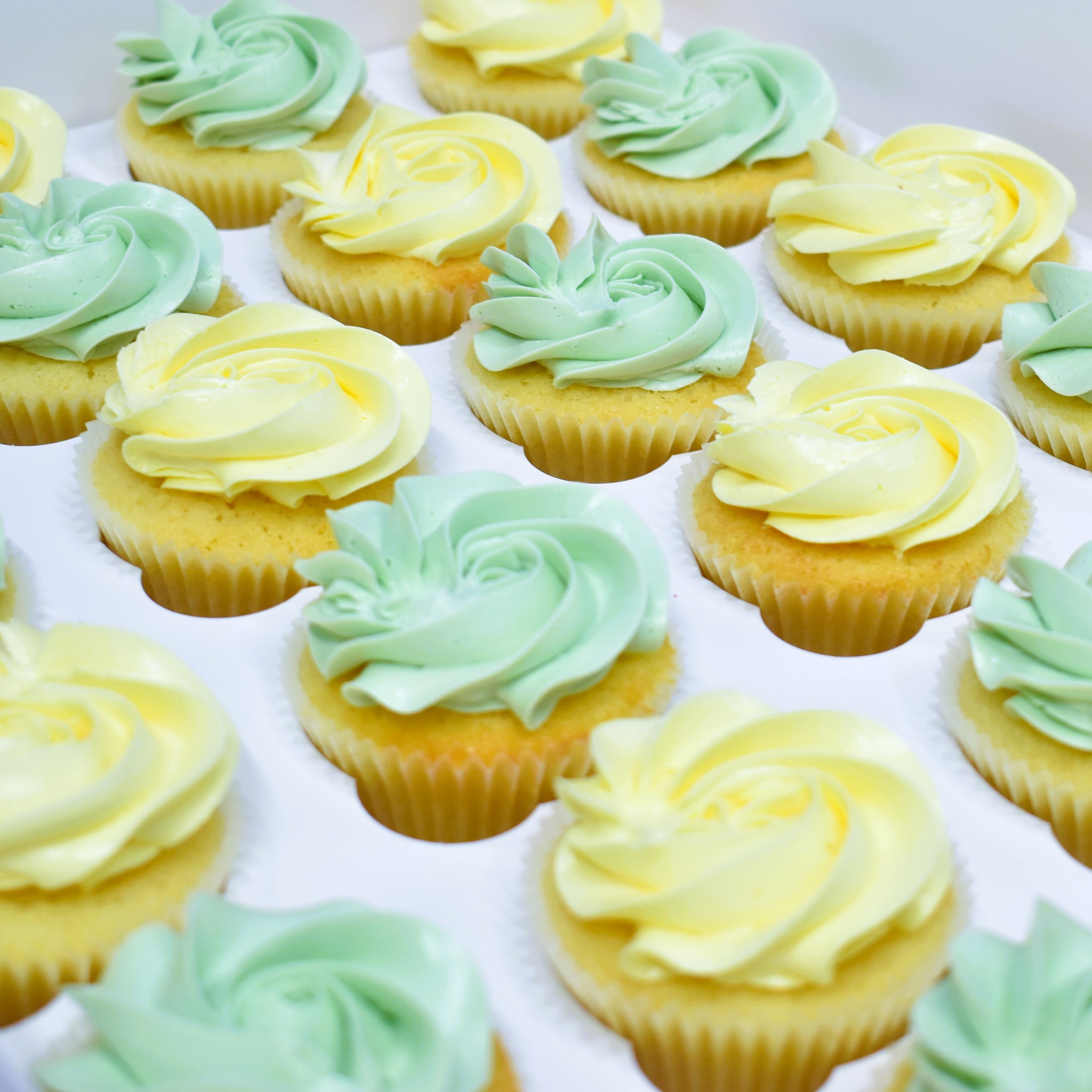 Buttercream Swirls - Solid Colour