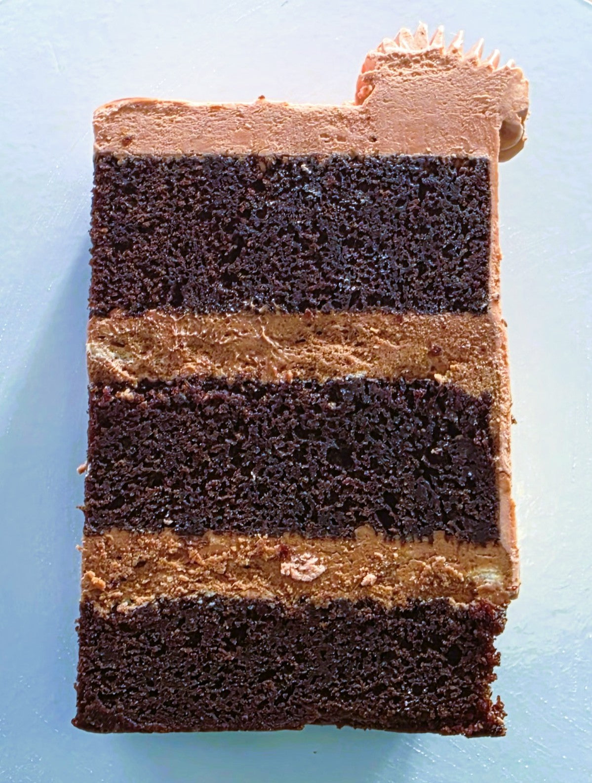 inside cake3.jpg__PID:ae5b24eb-1802-41b7-83c2-dc27ab0ca335