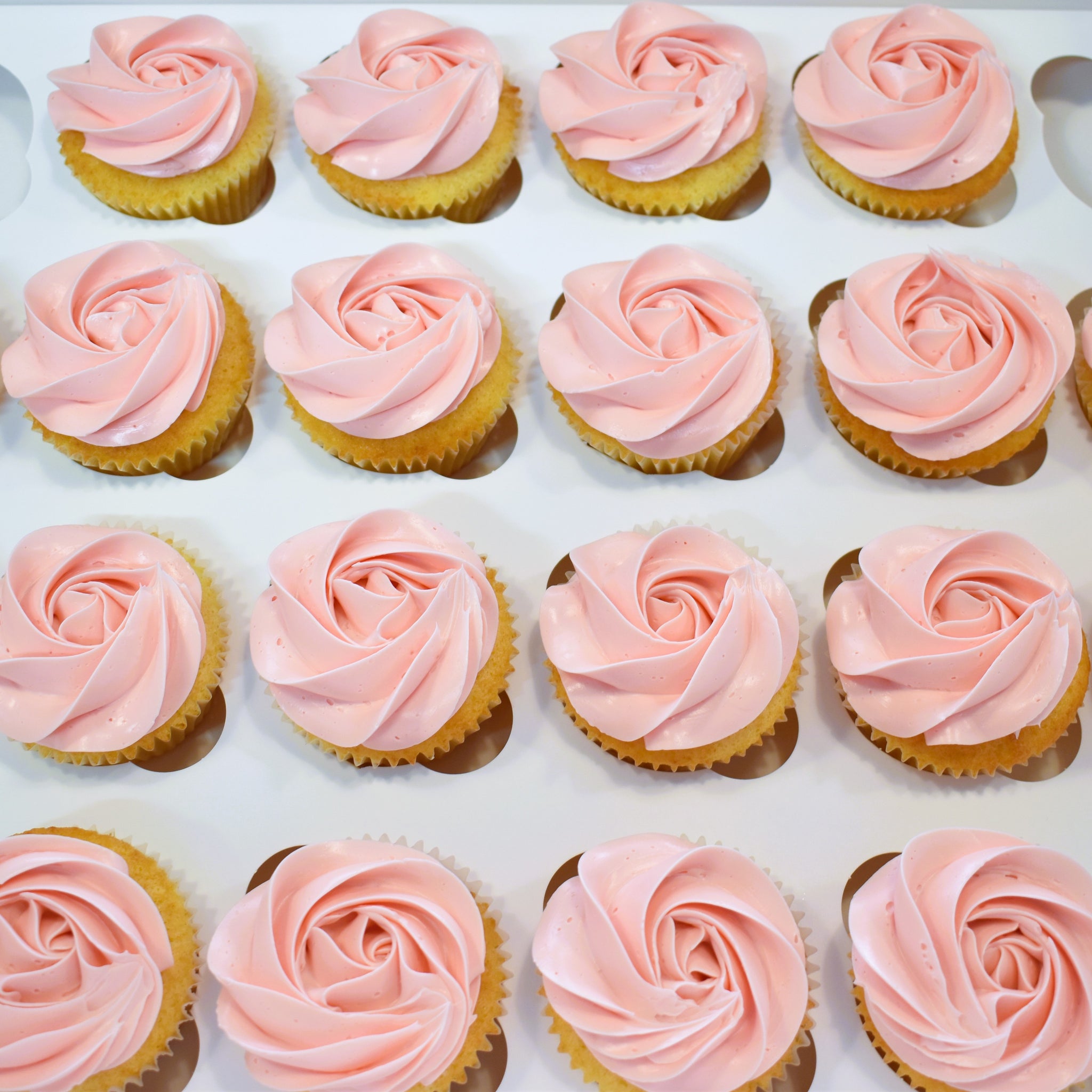 Buttercream Swirls - Solid Colour